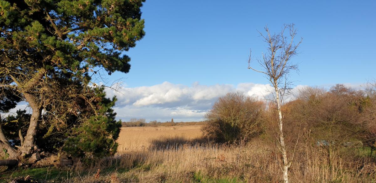 Titchfield Haven winter time